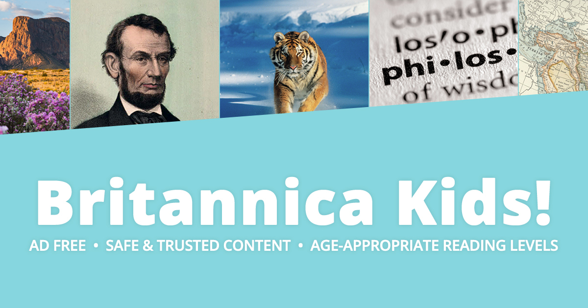 Cat Scratch Disease: Risks, Symptoms, and Prevention for Cat Owners