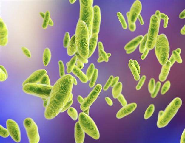 Cat Scratch Disease: Uncovering Causes, Risks, and Prevention Tips